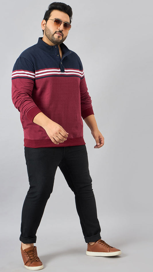 Austivo Men's Sweatshirt